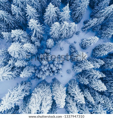 Similar – Foto Bild Bäume von oben im Winter schneebedeckt von einer Drohne gefilmt