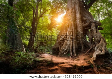 Sun Shines