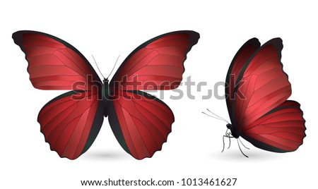 Download Yellow Butterfly Clipart Group With Items Red Butterfly Clipart Stunning Free Transparent Png Clipart Images Free Download