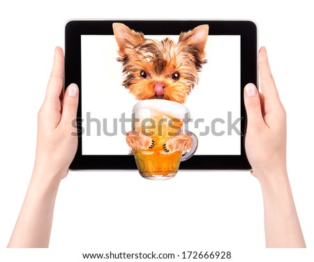 dog on tablet computer with glass of beer