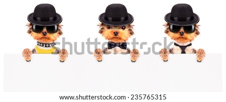 Dog dressed as mafia gangster and holding white paper banner