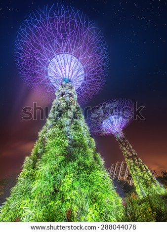 SINGAPORE - May 14 2015: Night view of The Supertree Grove at Gardens near Marina Bay. Gardens by Bay was crowned World Building of Year at World Architecture Festival 2012.