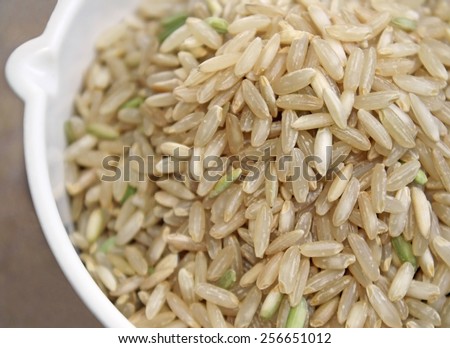 Raw grains of wholesome brown rice in a measure cup