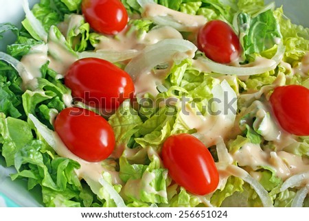 Fresh garden salad with ripe cherry tomatoes, sliced onions and creamy dressing