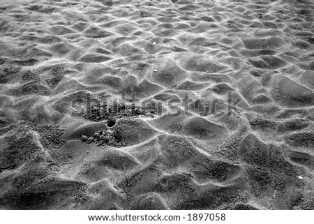 A crab hole surrounded by wavy sand making an abstract pattern.