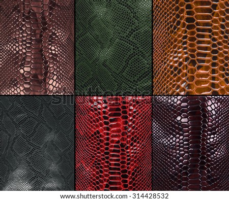 Background - texture of snake skin - Reptiles - Crocodile