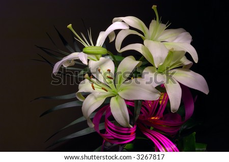 Lily bunch