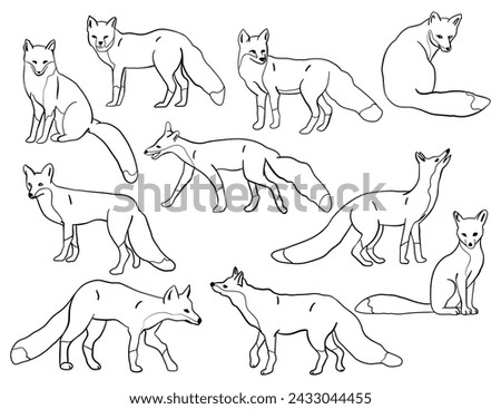 Fox silhouettes set, large pack of vector silhouette design, isolated white background