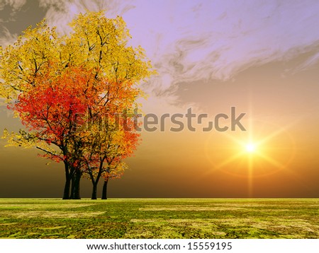 Autumn sunset