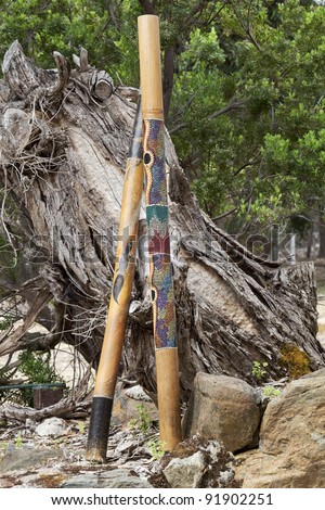 Two didgeridoos, indigenous Australian musical wind instruments, lean against fallen tree stump.  Location is Kangaroo Island, Hanson Bay Koala Sanctuary, in South Australia.