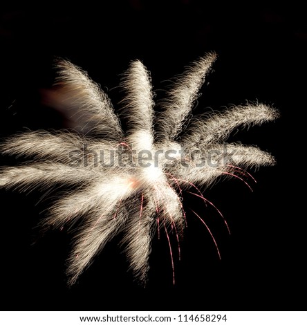 fox tail shape of fireworks during chinese holiday