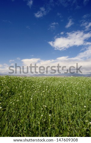 grass land under blue sky,dali,china