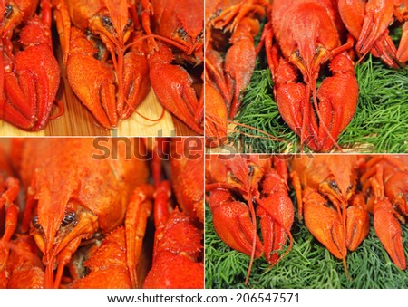 Collage of red boiled crawfishes taken closeup as food background.