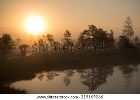 Beautiful tranquil landscape of misty swamp lake with mist and boardwalks