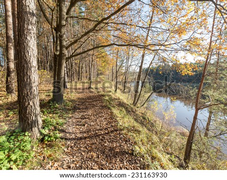 autumn colored tourism trail in the woods in the countryside