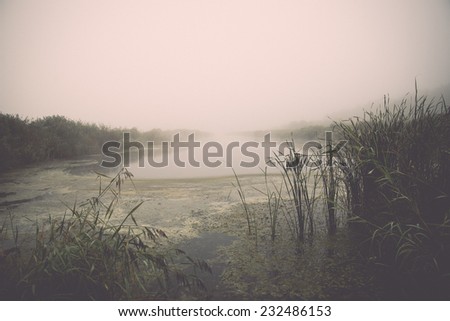 swamp view with lakes and footpath. Vintage photography effect.