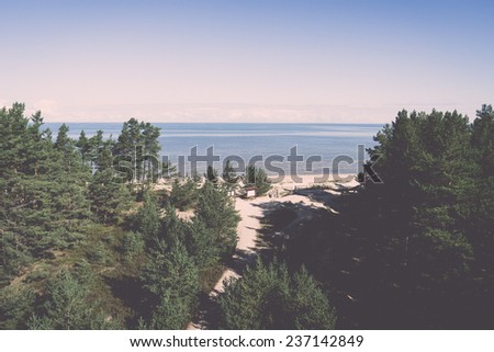 beach skyline with old tree trunks in water and blue sky - retro, vintage style look