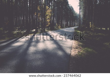 Morning sun beams over autumn road in the country - retro, vintage style look