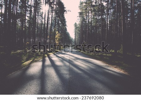 Morning sun beams over autumn road in the country - retro, vintage style look
