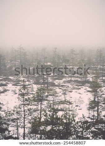 winter rural scene with fog and white fields and frost. latvia - retro vintage effect