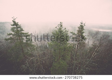 panoramic view of misty rain forest. far horizon - retro vintage film effect