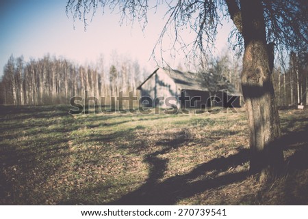 spring tree with shadows and bright sky in background - retro vintage film effect