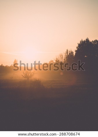 sunrise in misty country meadow with electricity lines in background - retro vintage film effect