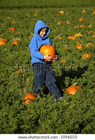 A boy carries a large pumpkin in a pumpkin patch.