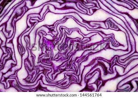 close - up photo of red cabbage