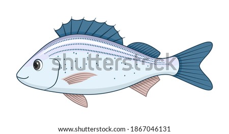 Spotted grunter fish on a white background. Cartoon style vector illustration