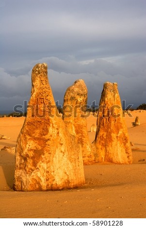 The Pinnacles Desert in the heart of the Nambung National Park, Western Australia.