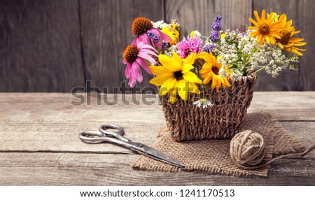 Wild Flowers