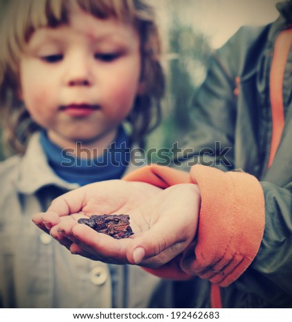children see a toad found in the forest (focus on toad)