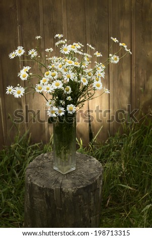 bouquet of daisies in the garden on a tree stump