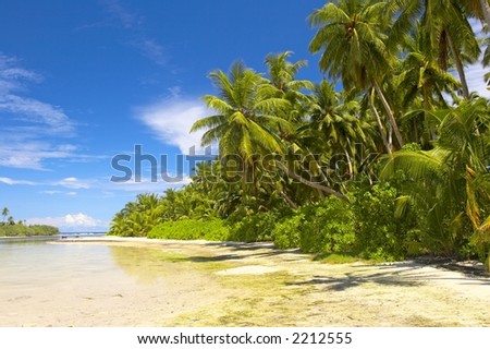 Beautiful Tropical Forest On The Beach In Indian Ocean, Maldive Island ...