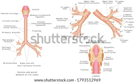 Shutterstock Puzzlepix