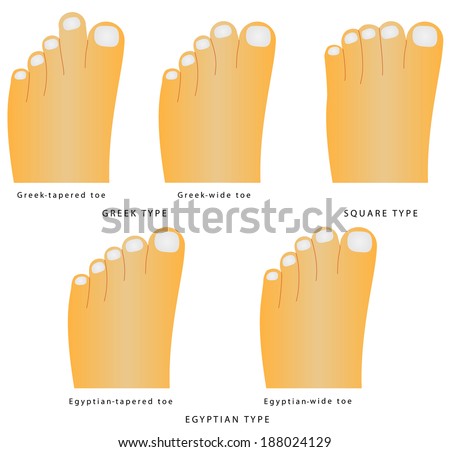 Toe Shape. Types Of Foot Shape - The Most Common Variants Of The Foot ...