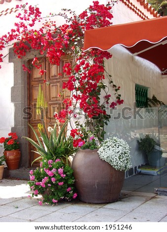 restaurant door whit red flowers