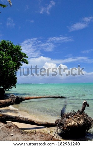 Panorama of tropical beach,Raiatea, French Polynesia, Society Islands