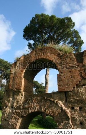 shot of the Palatine Hill ruins in Rome Italy