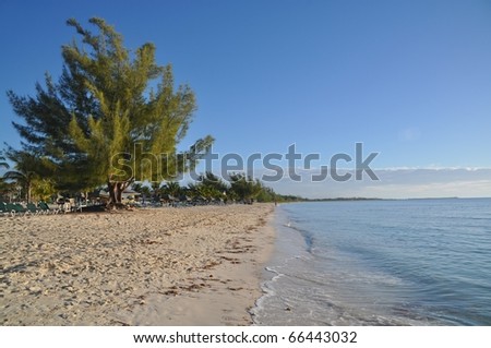 perfect golden rock beach, grand bahama island, bahamas (beach of Pirates of the caribbean)