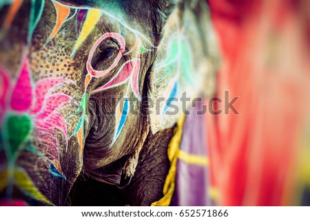 Similar – Image, Stock Photo Elephant eye with painted flowers