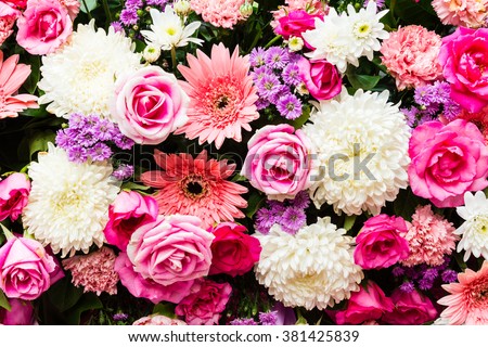 Similar – Image, Stock Photo odor Flower Garden Blossom