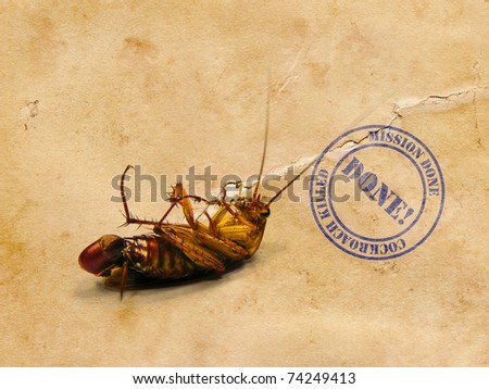 Dead Cockroach on his back with done stamp - isolated on white Surface