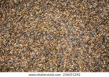 tiny stones background on floor of garden