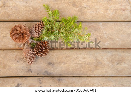 Pine cones and green branch on wood board with horizontal lines
