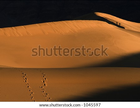 Two people walking along the ridge of sand dunes at Death Valley National Park in the early morning light.