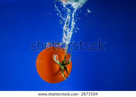 Fresh tomato falling into water. A delicious and nutritious snack.