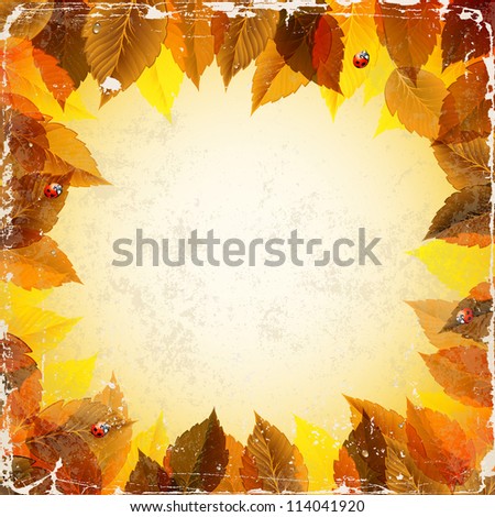 raster version of frame with autumn leaves and ladybirds