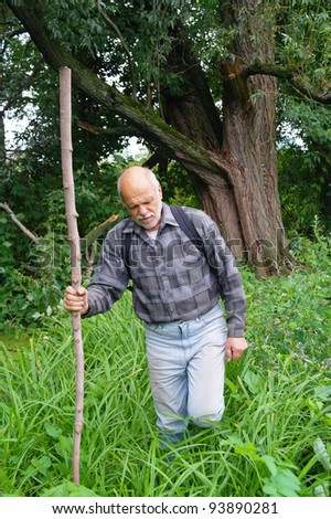 An elderly man with a backpack tourist goes into the thickets of the forest in summer, Tambov region, Russia